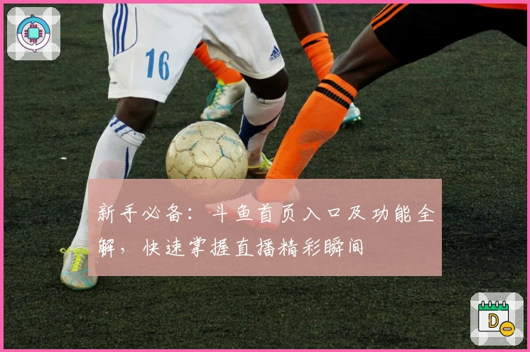 新手必备：斗鱼首页入口及功能全解，快速掌握直播精彩瞬间
