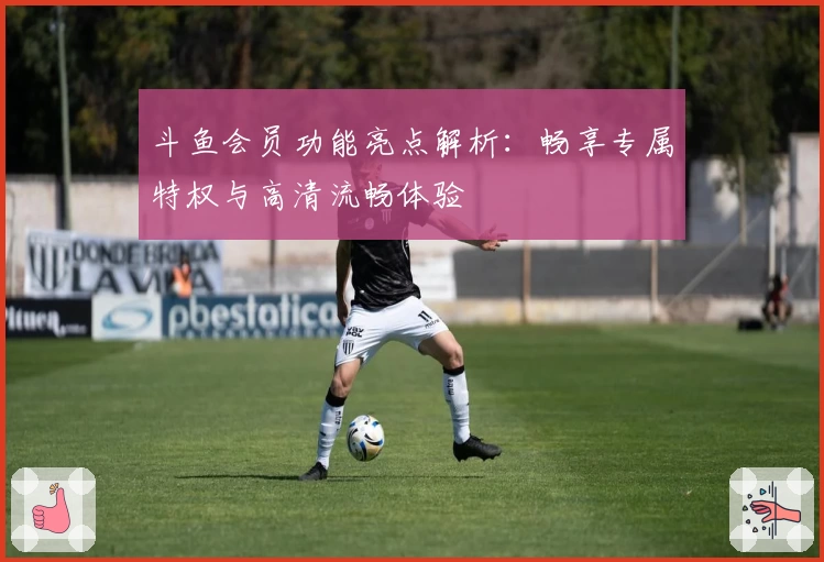 斗鱼会员功能亮点解析：畅享专属特权与高清流畅体验