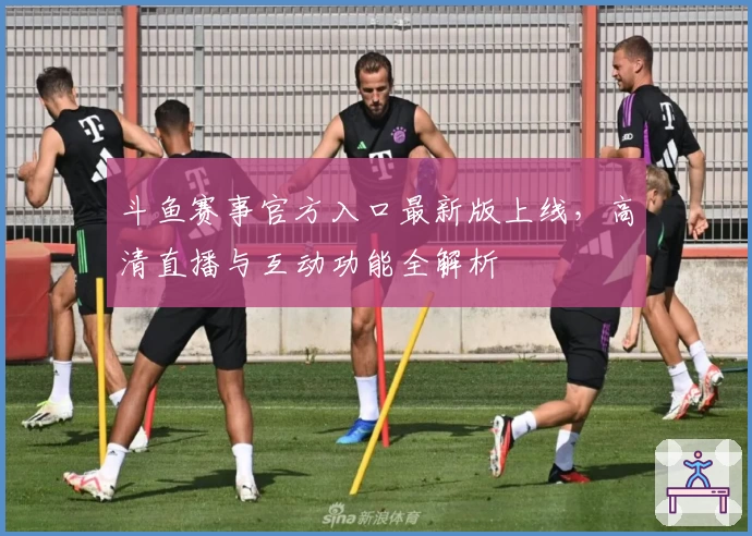 斗鱼赛事官方入口最新版上线，高清直播与互动功能全解析