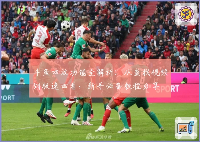 斗鱼回放功能全解析:从查找视频到极速回看,新手必备教程分享
