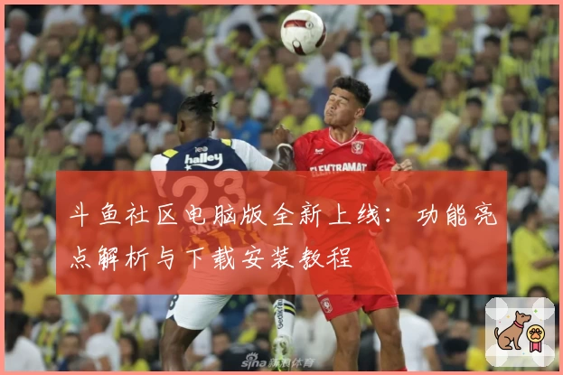 斗鱼社区电脑版全新上线：功能亮点解析与下载安装教程