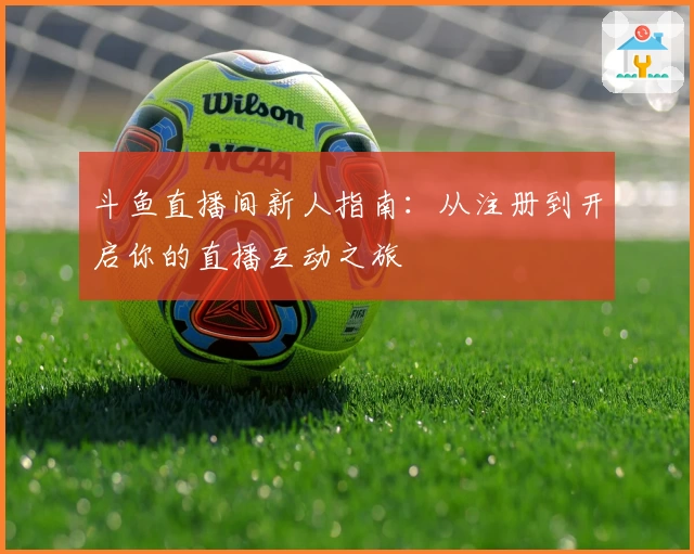 斗鱼直播间新人指南：从注册到开启你的直播互动之旅