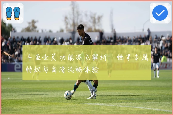 斗鱼会员功能亮点解析：畅享专属特权与高清流畅体验