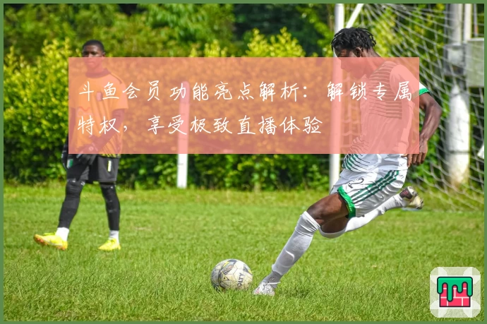 斗鱼会员功能亮点解析：解锁专属特权，享受极致直播体验