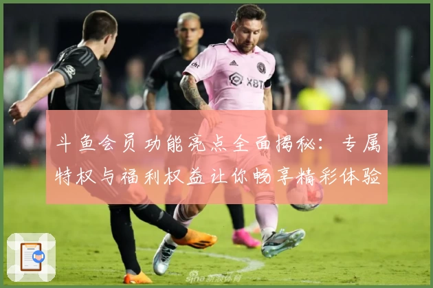 斗鱼会员功能亮点全面揭秘：专属特权与福利权益让你畅享精彩体验