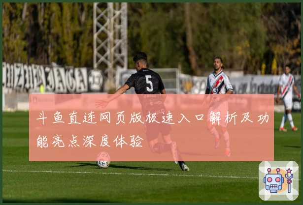 斗鱼直连网页版极速入口解析及功能亮点深度体验