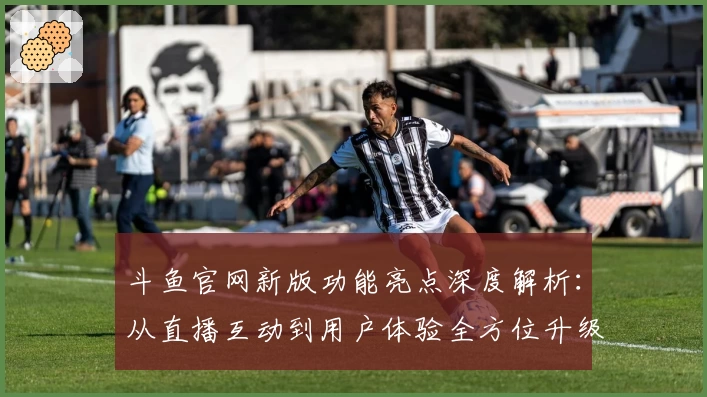 斗鱼官网新版功能亮点深度解析：从直播互动到用户体验全方位升级