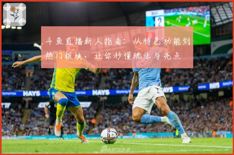 斗鱼直播新人指南：从特色功能到热门板块，让你秒懂玩法与亮点