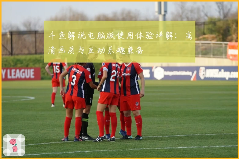 斗鱼解说电脑版使用体验详解：高清画质与互动乐趣兼备