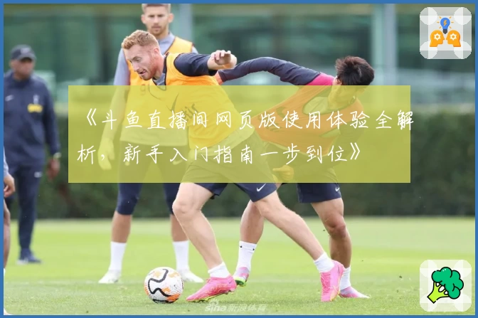 《斗鱼直播间网页版使用体验全解析，新手入门指南一步到位》